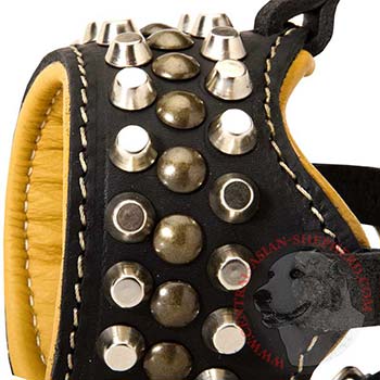 Nappa Leather Padded Central Asian Shepherd for Dog Walking