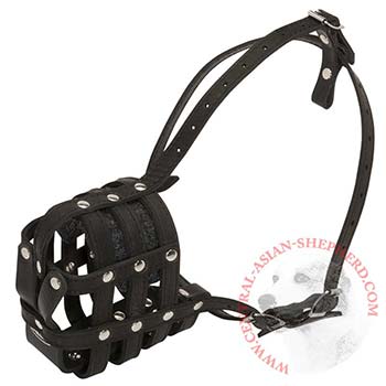 Leather Cage Central Asian Shepherd Muzzle Padded