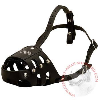 Anti Barking Central Asian Shepherd Muzzle Leather for Walking Dog
