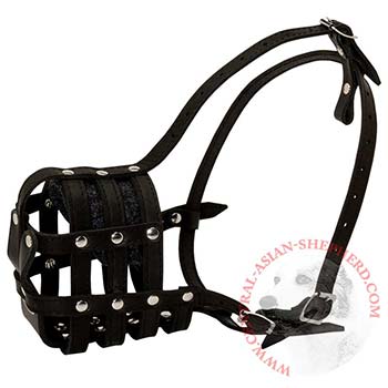Central Asian Shepherd Muzzle Leather Cage for Daily Walking