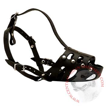 Leather Central Asian Shepherd Well-Fitting Muzzle