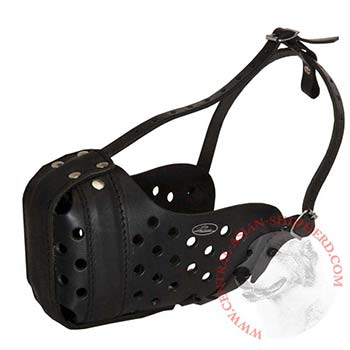 Leather Dog Muzzle for Agitation Training